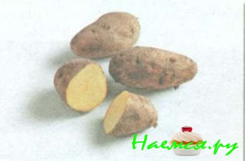 ЛУЧШИЕ СОРТА КАРТОФЕЛЯ 