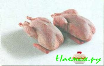 ДОМАШНЯЯ ПТИЦА И ДИЧЬ