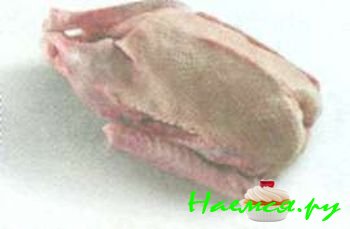 ДОМАШНЯЯ ПТИЦА И ДИЧЬ