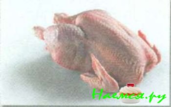 ДОМАШНЯЯ ПТИЦА И ДИЧЬ