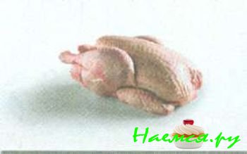 ДОМАШНЯЯ ПТИЦА И ДИЧЬ