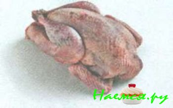 ДОМАШНЯЯ ПТИЦА И ДИЧЬ