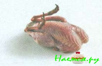 ДОМАШНЯЯ ПТИЦА И ДИЧЬ