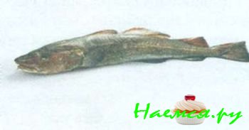 ПОПУЛЯРНЫЕ СОРТА РЫБЫ