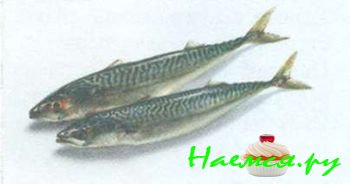 ПОПУЛЯРНЫЕ СОРТА РЫБЫ