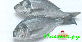 ПОПУЛЯРНЫЕ СОРТА РЫБЫ