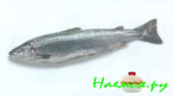 ПОПУЛЯРНЫЕ СОРТА РЫБЫ