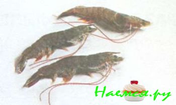 ПОПУЛЯРНЫЕ МОРЕПРОДУКТЫ 