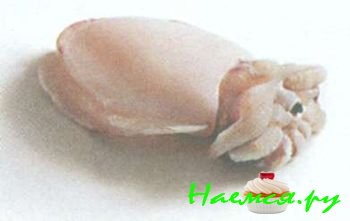 ПОПУЛЯРНЫЕ МОРЕПРОДУКТЫ 