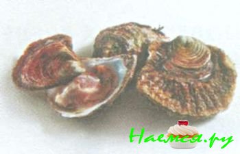 ПОПУЛЯРНЫЕ МОРЕПРОДУКТЫ 