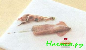 ПОДГОТОВКА КАЛЬМАРА