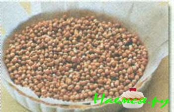 КИШ С ШАМПИНЬОНАМИ