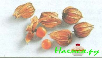 ЮЖНЫЕ ПЛОДЫ И ЭКЗОТИЧЕСКИЕ ФРУКТЫ 