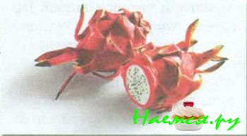 ЮЖНЫЕ ПЛОДЫ И ЭКЗОТИЧЕСКИЕ ФРУКТЫ 