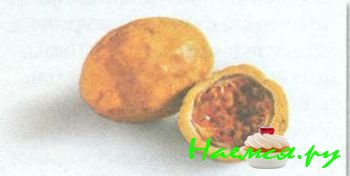 ЮЖНЫЕ ПЛОДЫ И ЭКЗОТИЧЕСКИЕ ФРУКТЫ 