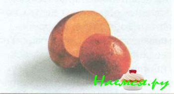 ЮЖНЫЕ ПЛОДЫ И ЭКЗОТИЧЕСКИЕ ФРУКТЫ 