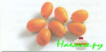 ЮЖНЫЕ ПЛОДЫ И ЭКЗОТИЧЕСКИЕ ФРУКТЫ 