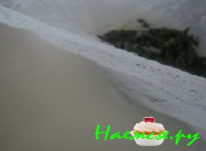 Процедить содержимое кастрюльки через мелкое ситечко