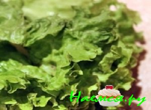 Листья зеленого салата хорошенько промыть под струей проточной холодной воды и немного их обсушить