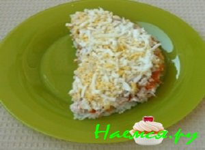 Выложить яичную смесь сверху на грибной слой и немножко смазать майонезом.