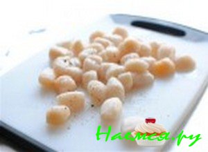 Морские гребешки - фото