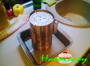 Закройте белобоку с фаршем