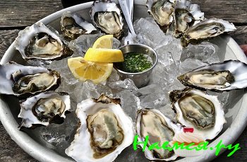 Устрицы – польза от употребления