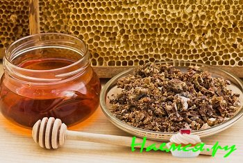 Что такое прополис и как его использовать