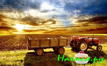 Зачем нужно сельское хозяйство?