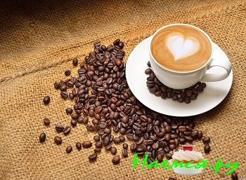 Кофе - польза и вред