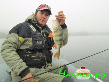 История рыбалки