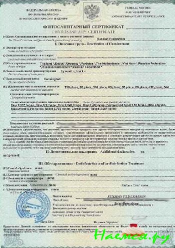Фитосанитарный сертификат